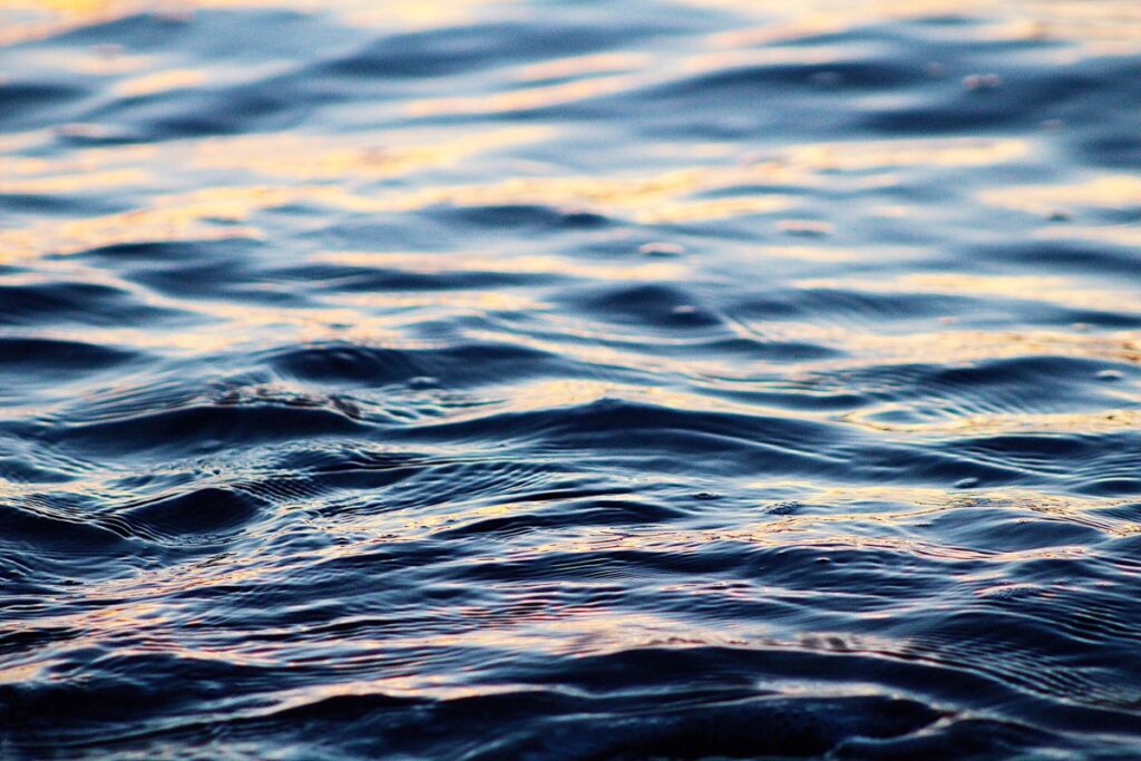 Fear of Open Water Swimming How to It AquaMobile Swim School