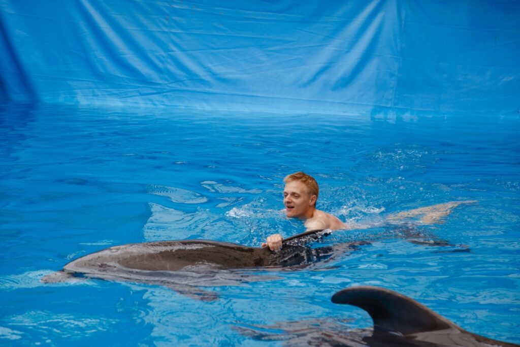 Swimming with Dolphins - Should You? | AquaMobile Swim School