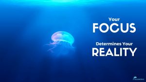 AquaMobile Wallpaper Your Focus Determines Your Reality