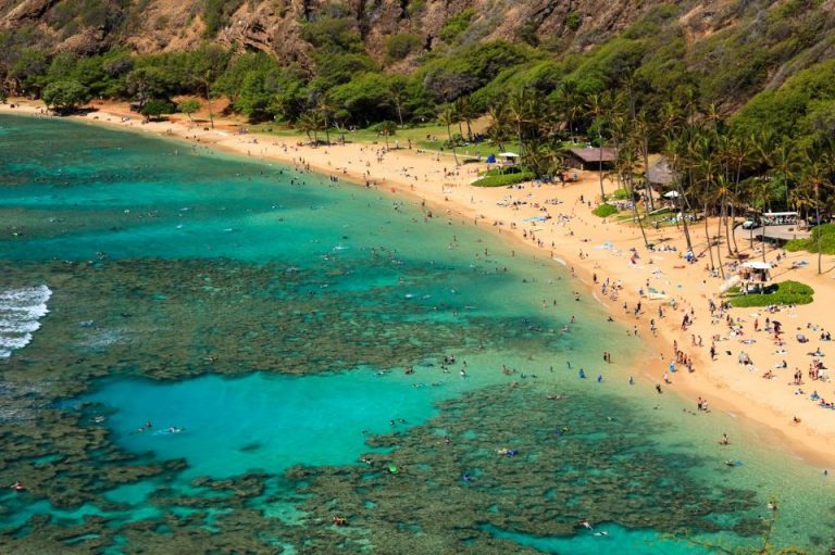 01-Hanauma-Bay-Beach-Park-Oahu-Hawaii-1200x800 - AquaMobile Swim School