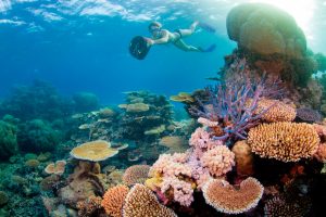 Top water activities to do in Australia snorkeling