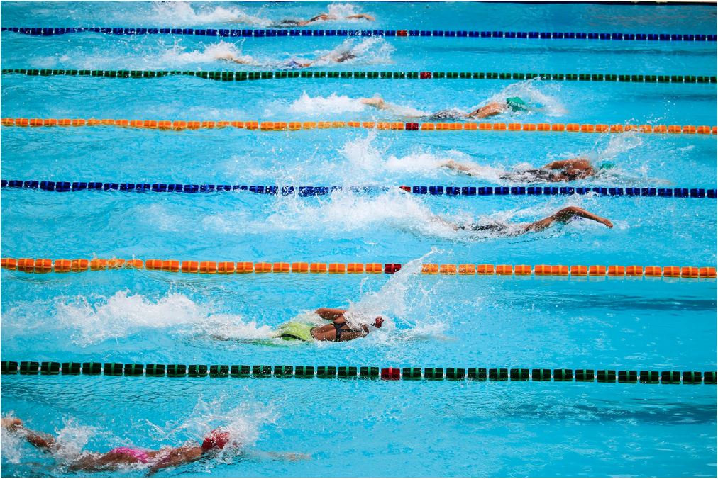 Swimmers Swimming In Lanes 